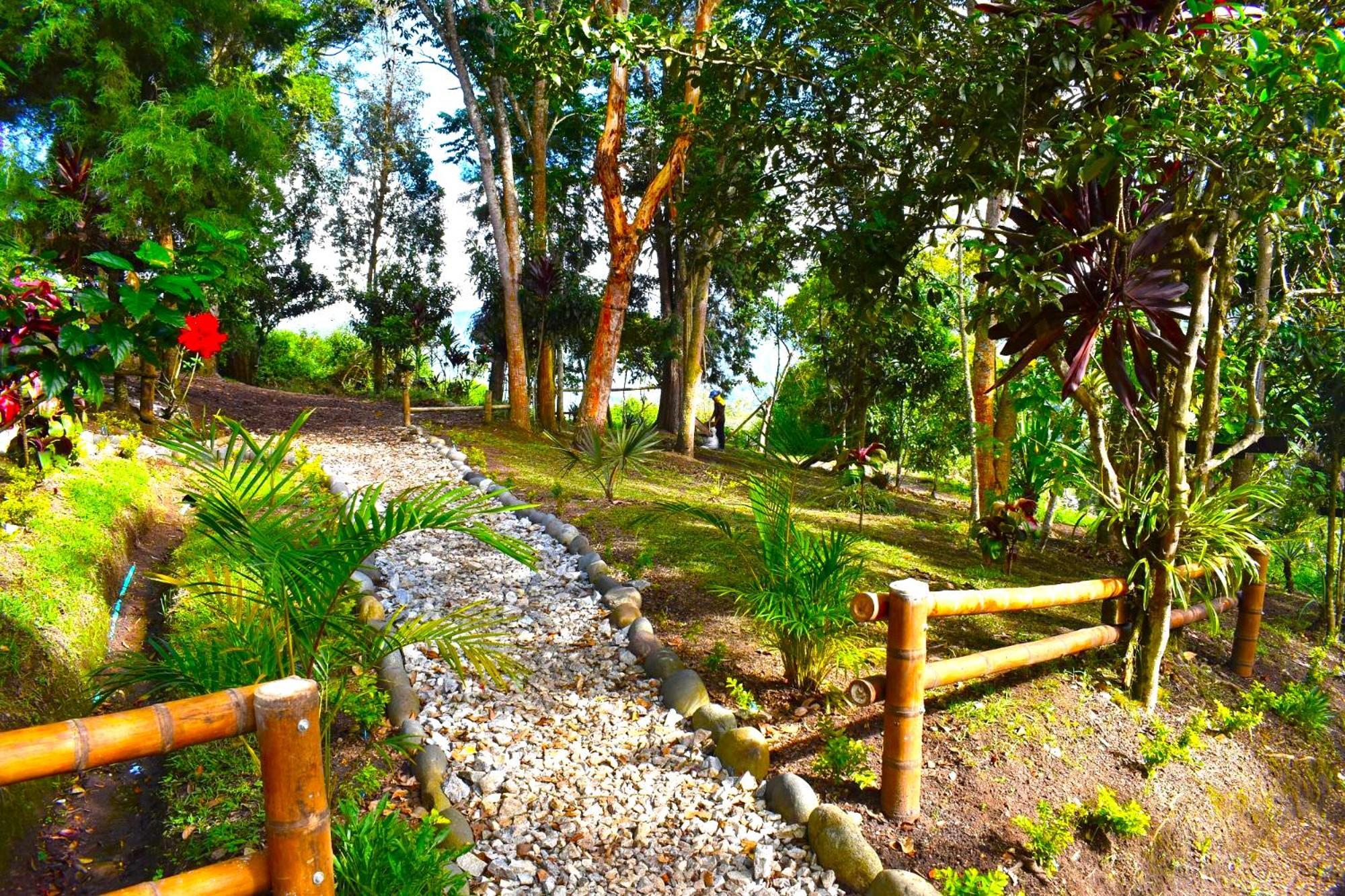 Hotel La Casa De Francois San Agustín Buitenkant foto